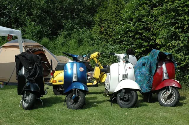 2008 Blankenham run