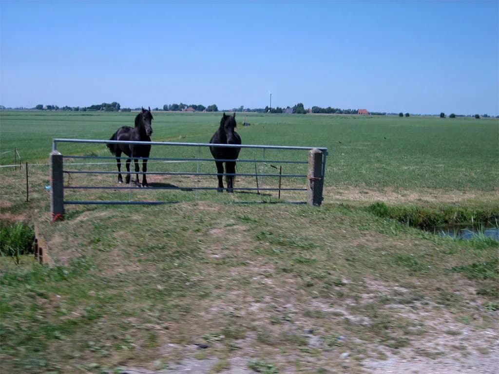 2006 Rondje Nederland 