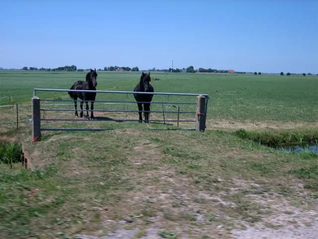 2006 Rondje Nederland 