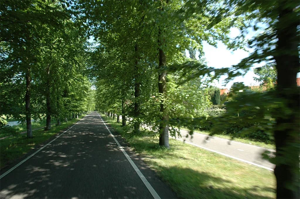 2008 Lisse
