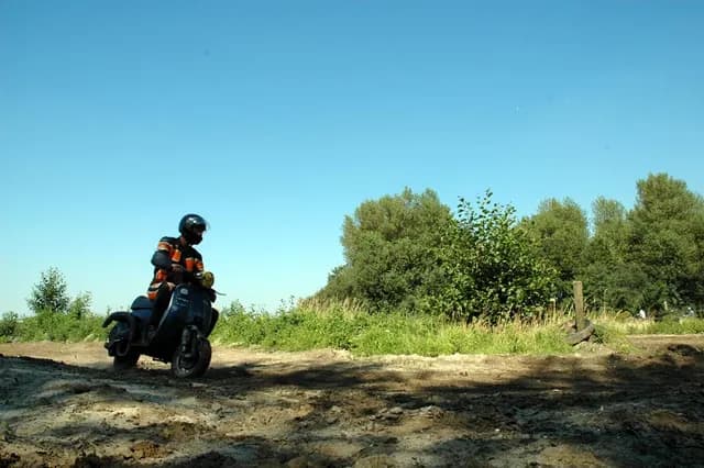 2007 Tholen