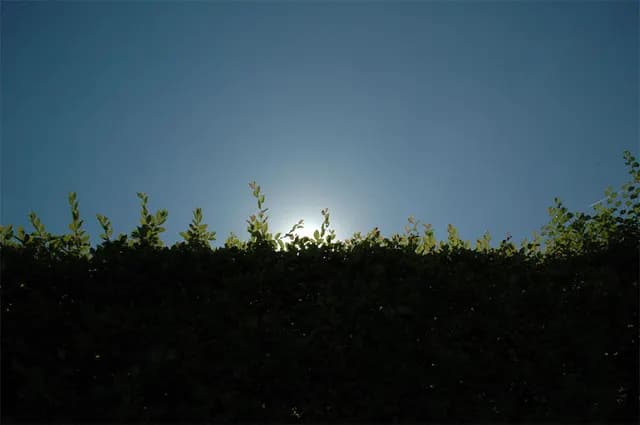 2005 Parijs - Den Haag - Parijs