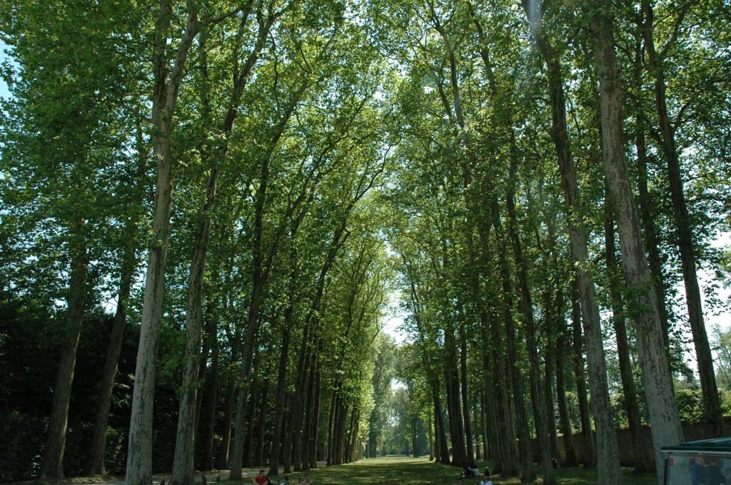 2005 Paris
