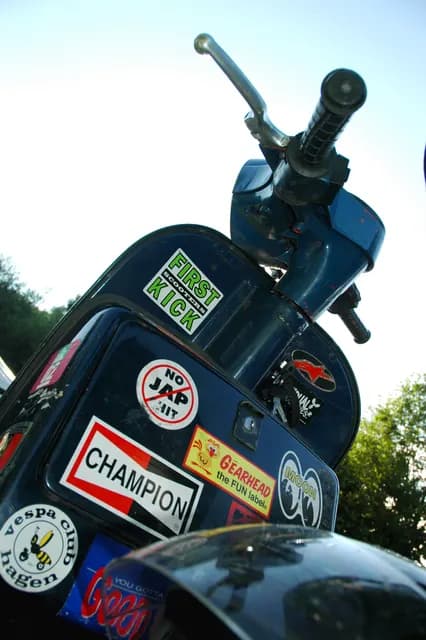 2008 Blankenham run