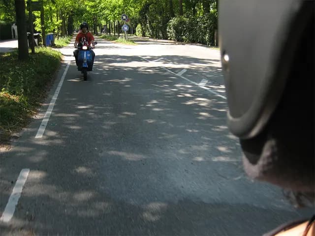 2007 Bollenrit