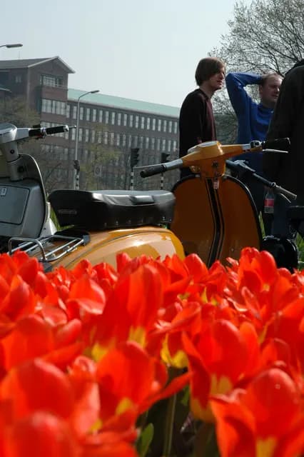 2005 HVC ride