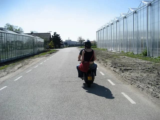 2007 Ritje Delft