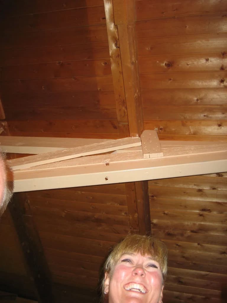 2006 Tholen