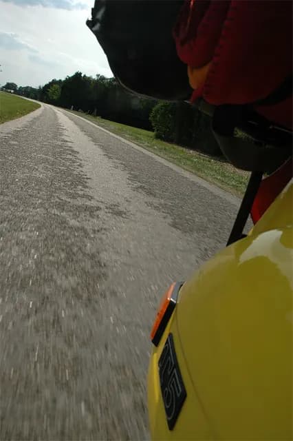2008 Lisse