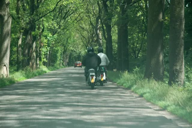 2008 Blankenham run
