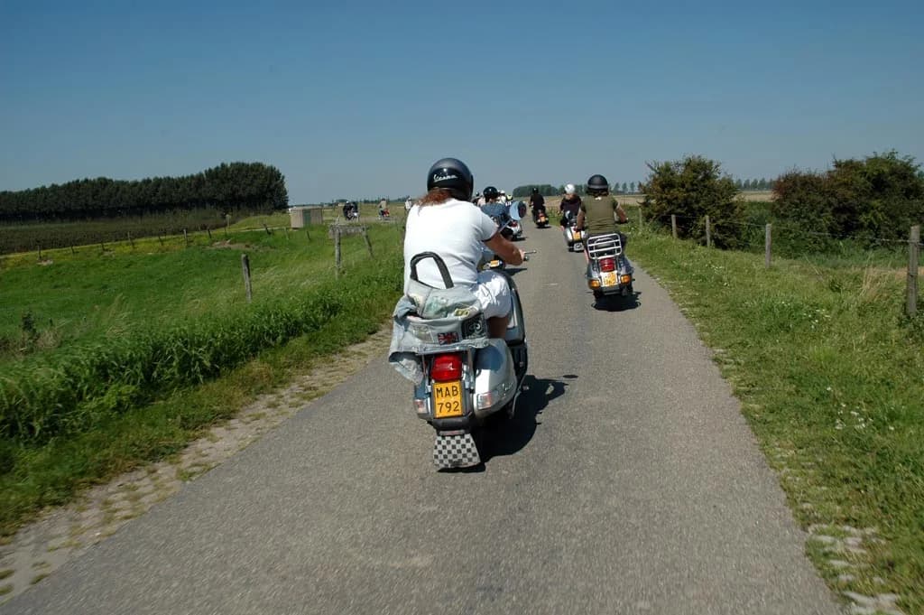 2007 Tholen