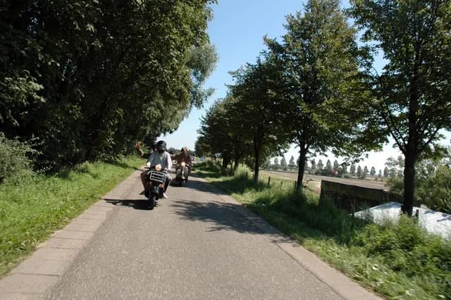 2007 Tholen