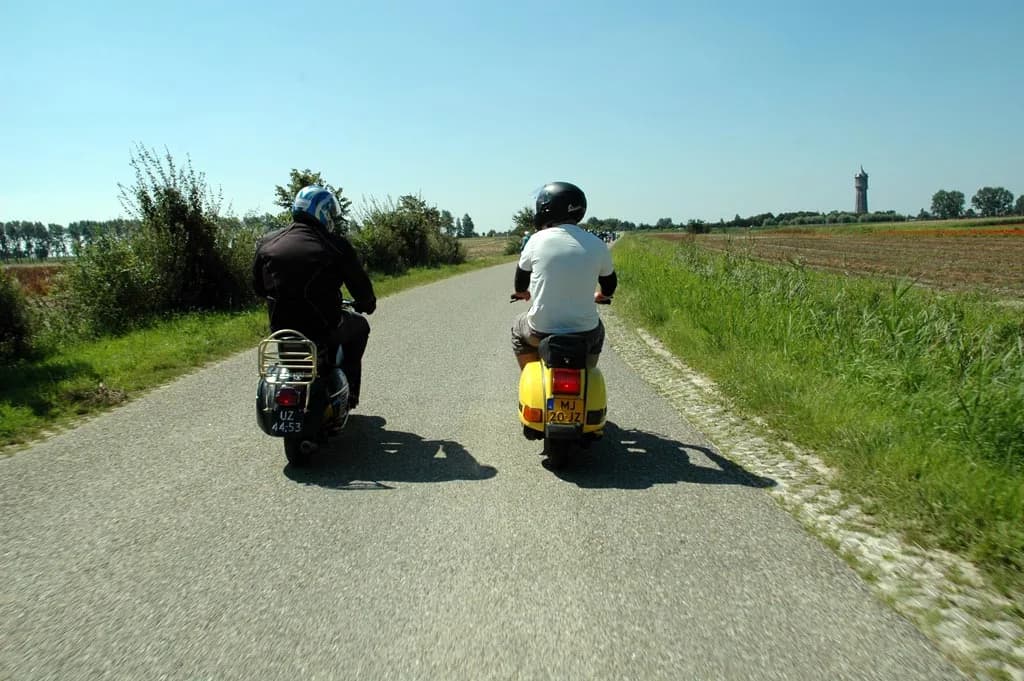 2007 Tholen