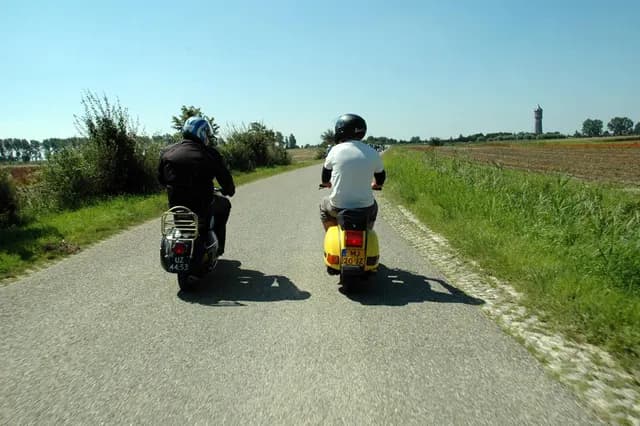 2007 Tholen