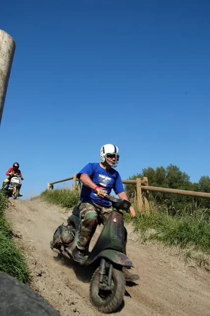 2007 Tholen