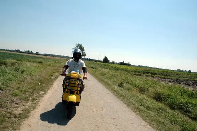 2007 Tholen