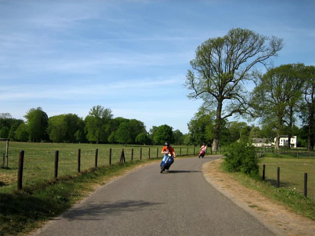 2007 Bollenrit