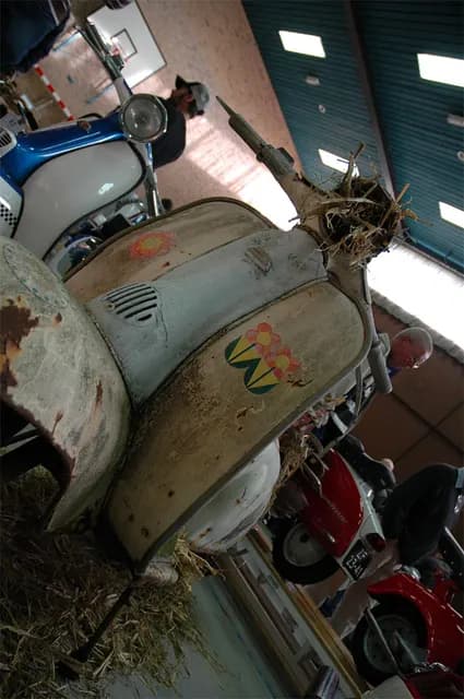 2005 Customshow