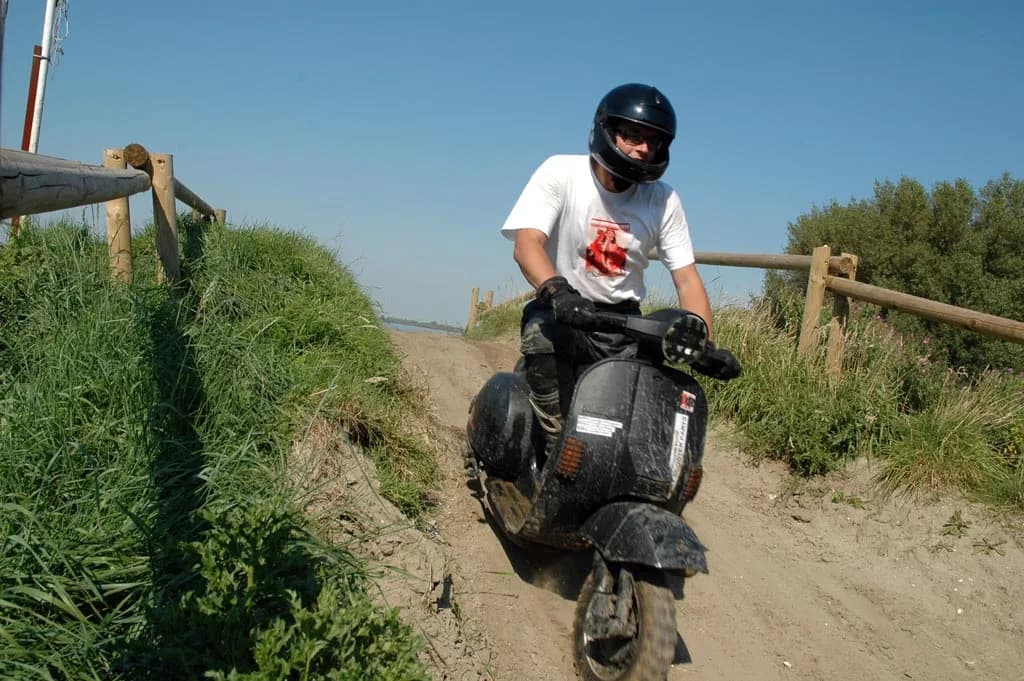 2007 Tholen