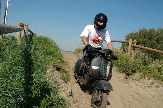 2007 Tholen