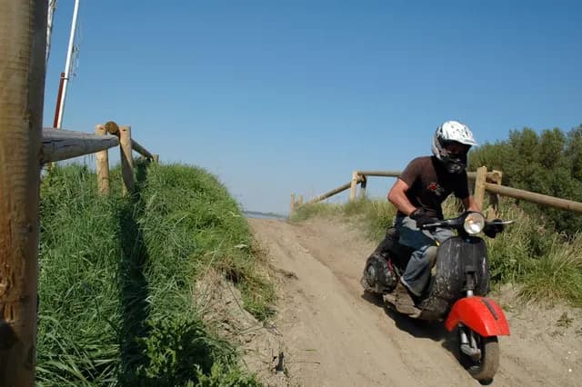 2007 Tholen