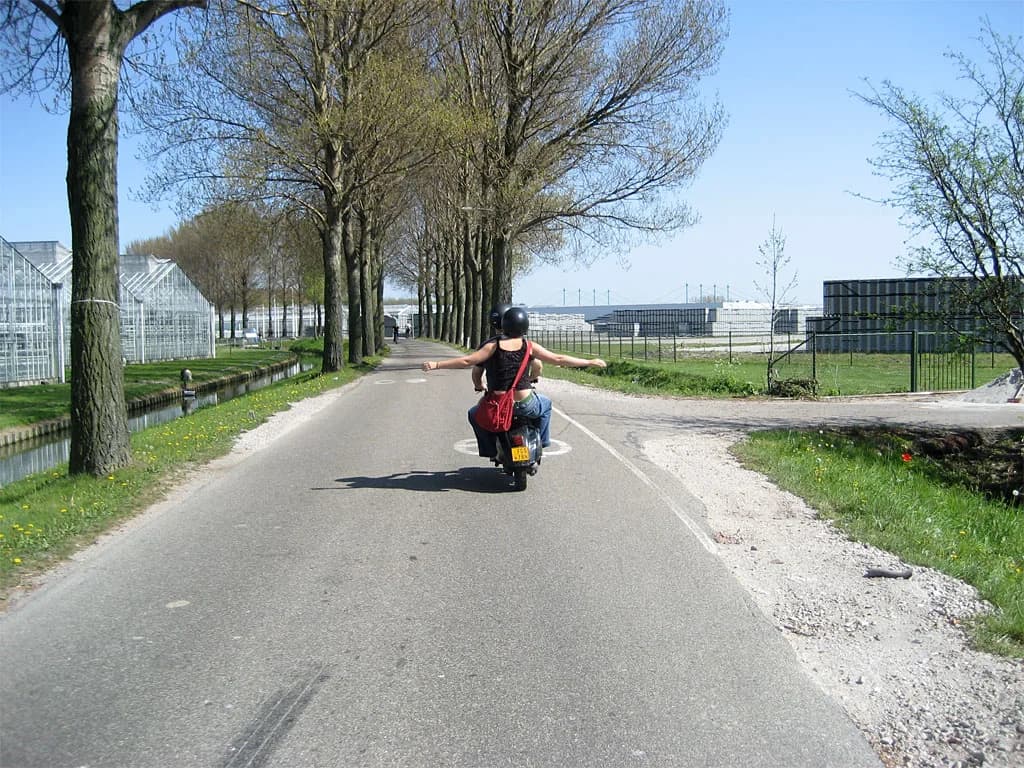 2007 Ritje Delft
