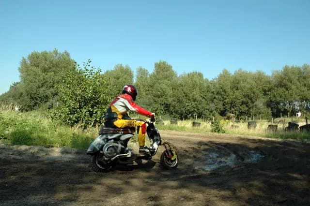 2007 Tholen