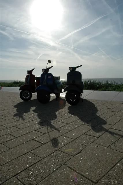 2007 Bollenrit
