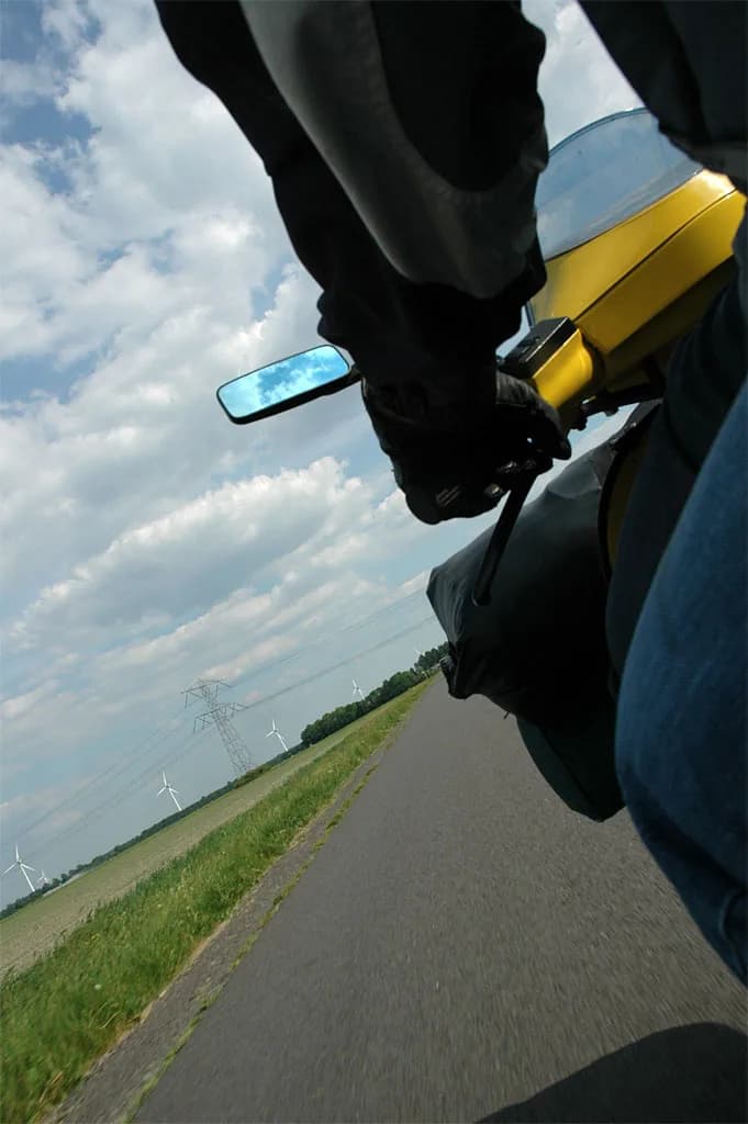 2008 Lisse