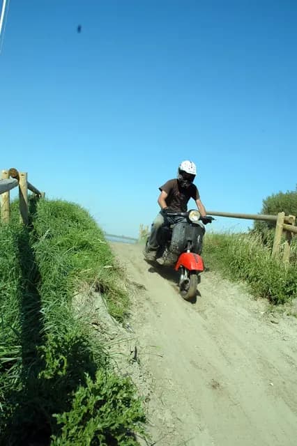 2007 Tholen