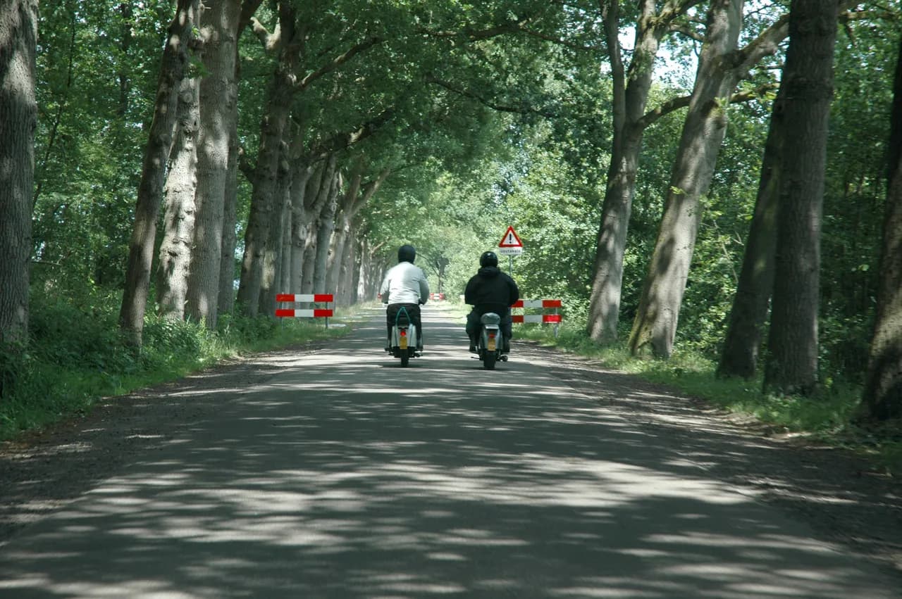 2008 Blankenham run