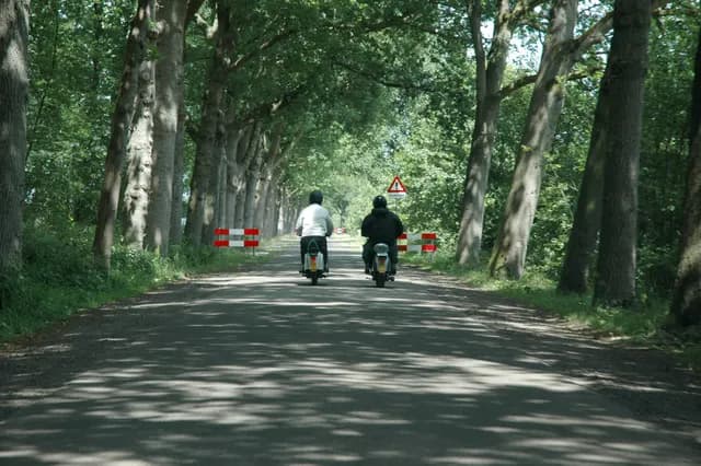 2008 Blankenham run