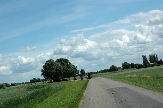 2008 Blankenham run