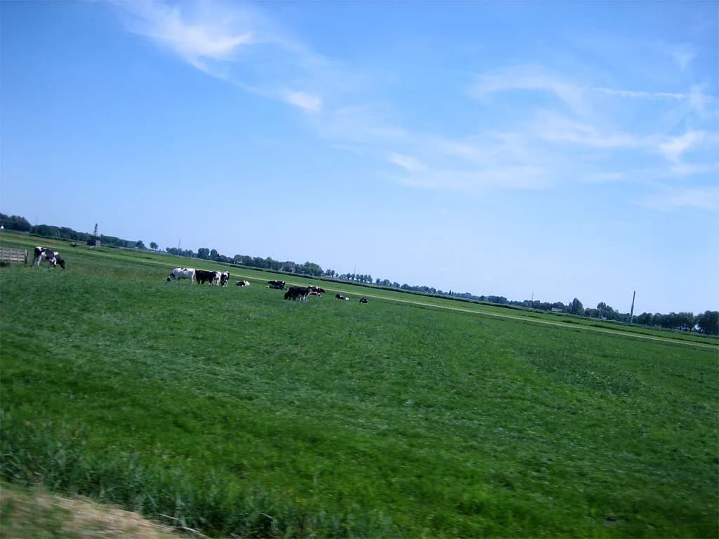 2006 Rondje Nederland 