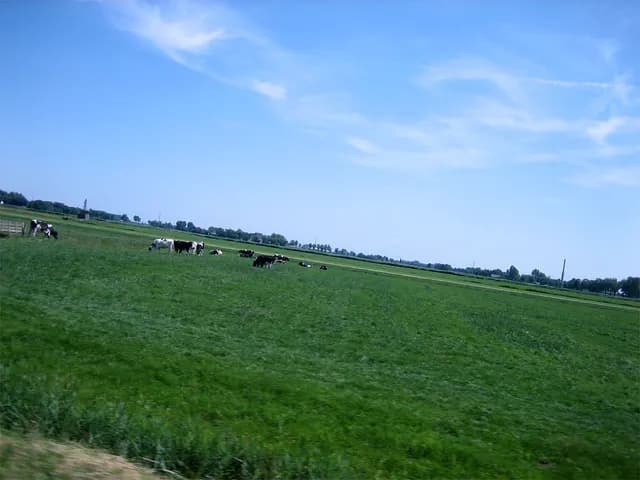 2006 Rondje Nederland 