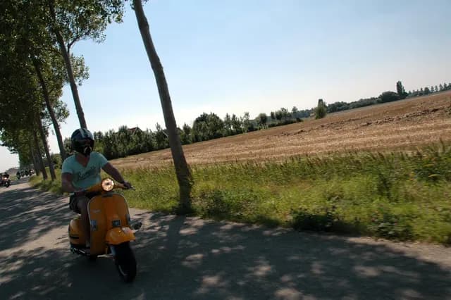 2007 Tholen