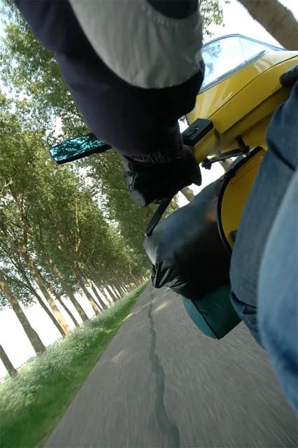 2008 Lisse