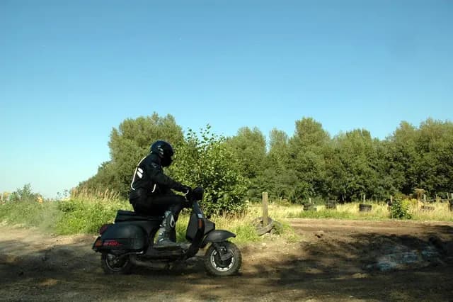 2007 Tholen