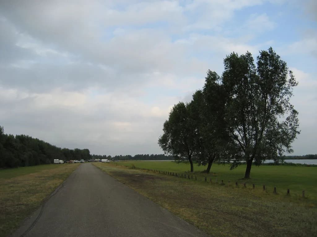 2006 Tholen