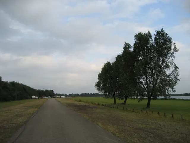 2006 Tholen
