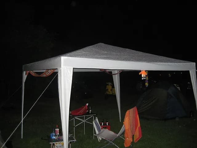 2008 Blankenham run