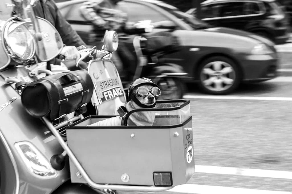2013 Vespa World Days, Hasselt