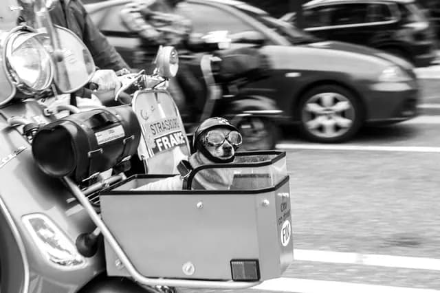 2013 Vespa World Days, Hasselt