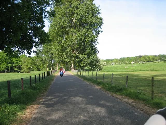 2007 Bollenrit