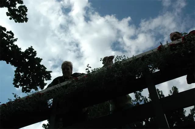 2008 Blankenham run