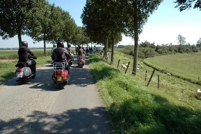 2007 Tholen