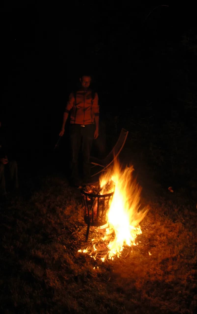 2008 Blankenham run
