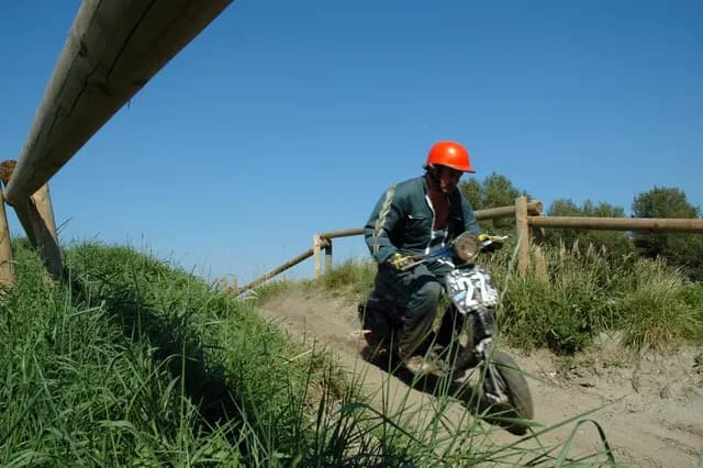2007 Tholen