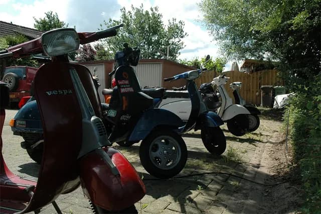 2008 Blankenham run