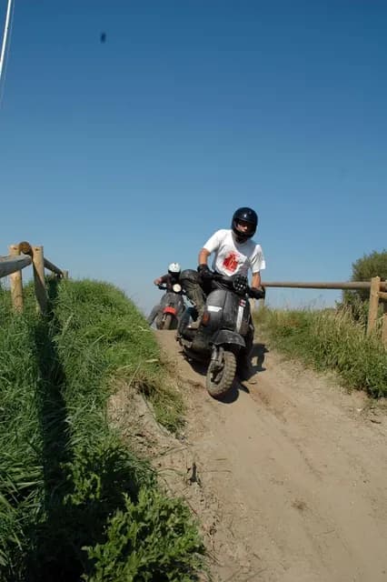 2007 Tholen